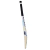 DSC Condor Flicker Kashmir Willow Cricket Bat