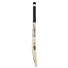 DSC Condor Flicker Kashmir Willow Cricket Bat
