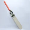 httpscricketershop.comcdnshopfilesgortonshire-kashmir-willow-default-title-gortonshire-armour-kashmir-willow-cricket-bat-size-sh-37989368692916.jpgv=1745773154&width=1800