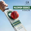 Gortonshire Focus Kashmir Willow Cricket Bat Size SH