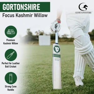 Gortonshire Focus Kashmir Willow Cricket Bat Size SH