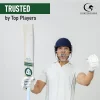 Gortonshire Focus Kashmir Willow Cricket Bat Size SH - Image 2