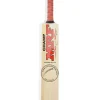 MRF Champ Kashmir Willow Cricket Bat Size