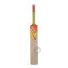 Puma Future 5.0 English Willow Cricket Bat Size SH