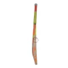Puma Future 5.0 English Willow Cricket Bat Size SH