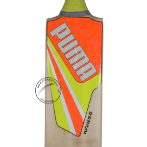 Puma Future 5.0 English Willow Cricket Bat Size SH