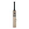Spartan Player Edition English Willow Cricket Bat Size SH