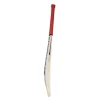 SS Players 5000 Riyan Parag English Willow Cricket Bat