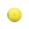 SS Machine Cricket Ball