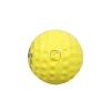 SS Cricket Ball